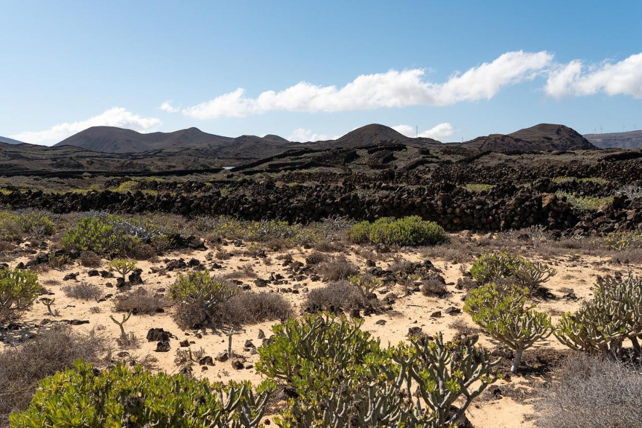 Bungalows Delmar Natur Charco del Palo Eksteriør billede